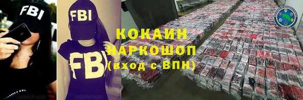 твердый Сясьстрой