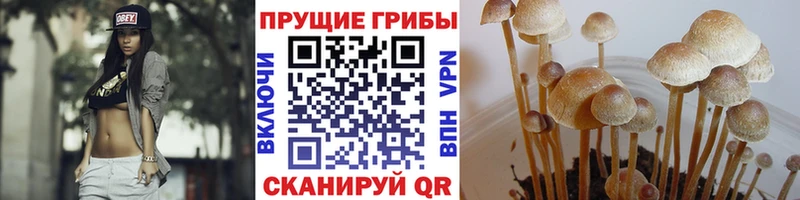 гидра зеркало  Красноуфимск  Галлюциногенные грибы GOLDEN TEACHER  даркнет сайт 